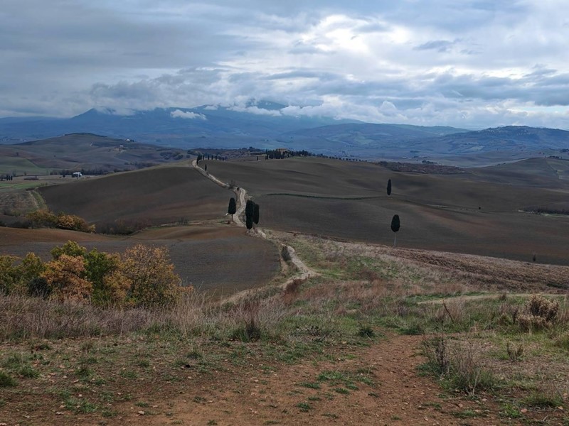 Casale in Vendita a Pienza, 790'000€, 330 m², con Box