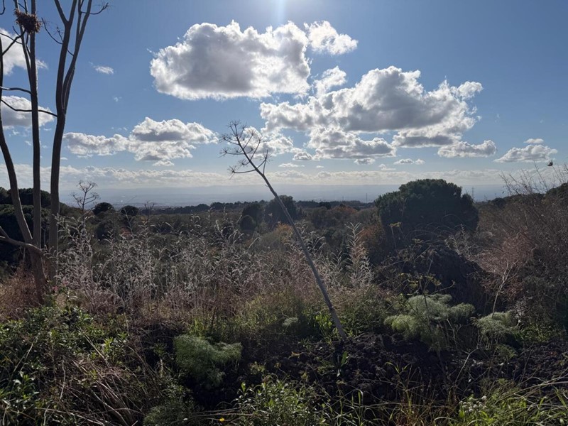 Terreno agricolo in Vendita a Nicolosi, 360'000&euro;, 90000 m²