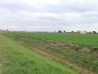 Terreno edificabile in Vendita a Cascina, 317'474&euro;, 95000 m²