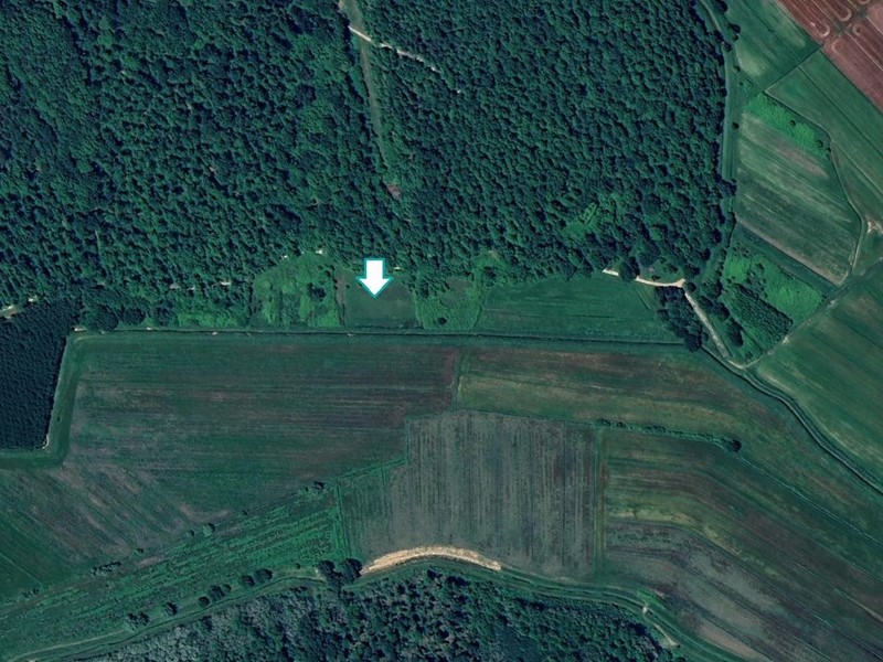 Terreno agricolo in Vendita a Bientina, 1'925&euro;, 4200 m²