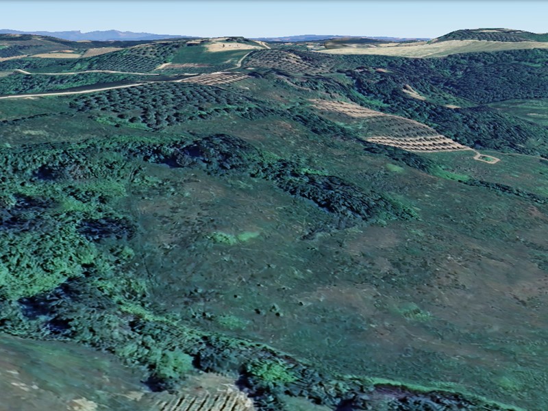 Terreno agricolo in Vendita a San Miniato, 80'000&euro;, 76300 m²