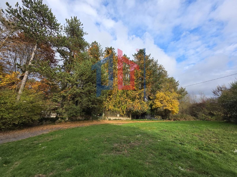 Terreno agricolo in Vendita a Rocca di Papa, 169'000&euro;, 13000 m²