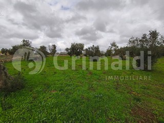 Terreno agricolo in Vendita a Sannicola, 40'000€, 6310 m²