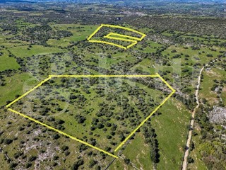 Terreno agricolo in Vendita a Noto, 180'000&euro;, 