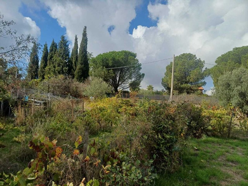 Terreno agricolo in Vendita a Mascalucia, 78'000&euro;, 1600 m²