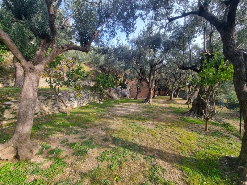 Terreno agricolo in Vendita a Finale Ligure, 255'000&euro;, 1500 m²