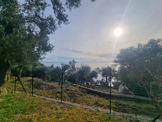 Terreno agricolo in Vendita a Finale Ligure, 255'000&euro;, 1500 m²