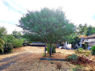 Terreno edificabile in Vendita a Pedara, 85'000€, 1012 m²