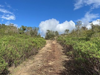 Casale in Vendita a Arzachena, zona Surrau, 220'000&euro;, 130 m²