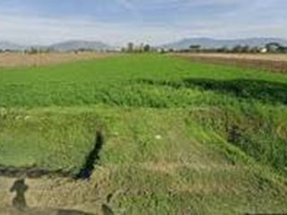 Terreno agricolo in Vendita a Capannoli, 45'000&euro;, 23321 m²