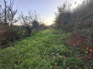 Terreno agricolo in Vendita a Mercato San Severino, 30'000&euro;, 3000 m²