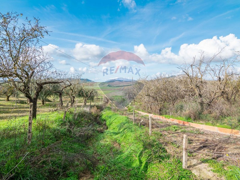 Terreno agricolo in Vendita a Piazza Armerina, 25'000&euro;, 6500 m²