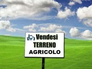 Terreno agricolo in Vendita a San Giuliano Terme, zona Colignola, 45'000&euro;, 2337 m²