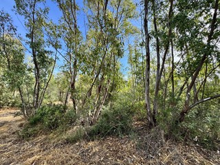 Terreno agricolo in Vendita a San Vito, 10'000&euro;, 8500 m²