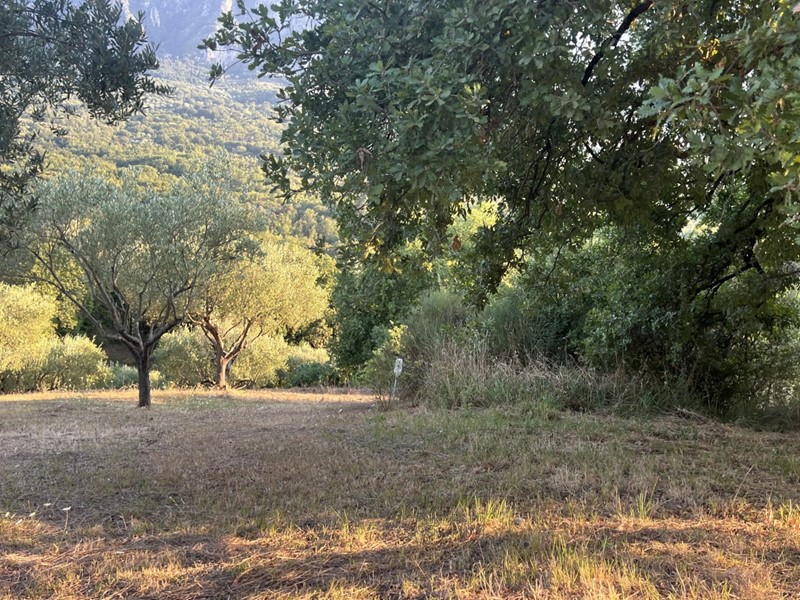 Terreno agricolo in Vendita a Roccagloriosa, 25'000&euro;, 9205 m²