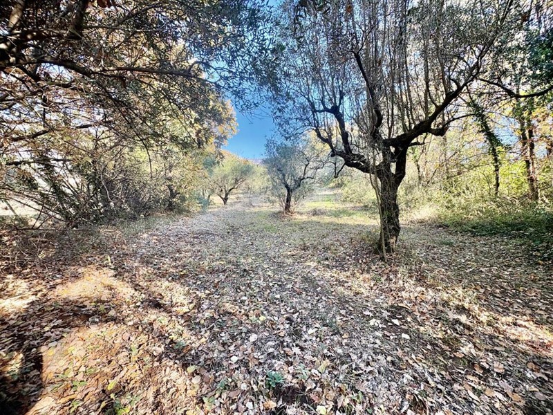 Terreno agricolo in Vendita a Marcellina, 18'000&euro;, 8620 m²