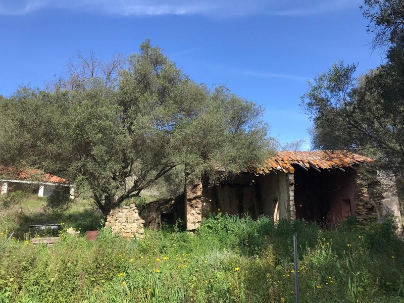 Attività commerciale in Vendita a Arzachena, zona Capichera, 790'000&euro;, 250 m²