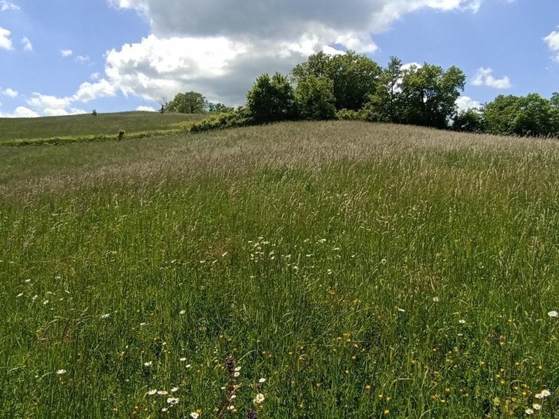 Terreno edificabile in Vendita a Tizzano Val Parma, zona Madurera, 110'000&euro;, 10570 m²