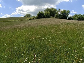 Terreno edificabile in Vendita a Tizzano Val Parma, zona Madurera, 110'000&euro;, 10570 m²