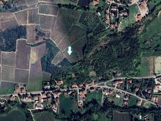 Terreno agricolo in Vendita a Mornico Losana, 64'575&euro;, 45223 m²
