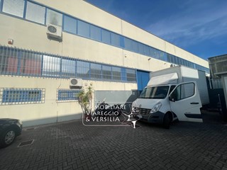 Laboratorio in Vendita a Viareggio, 250'000&euro;, 250 m²