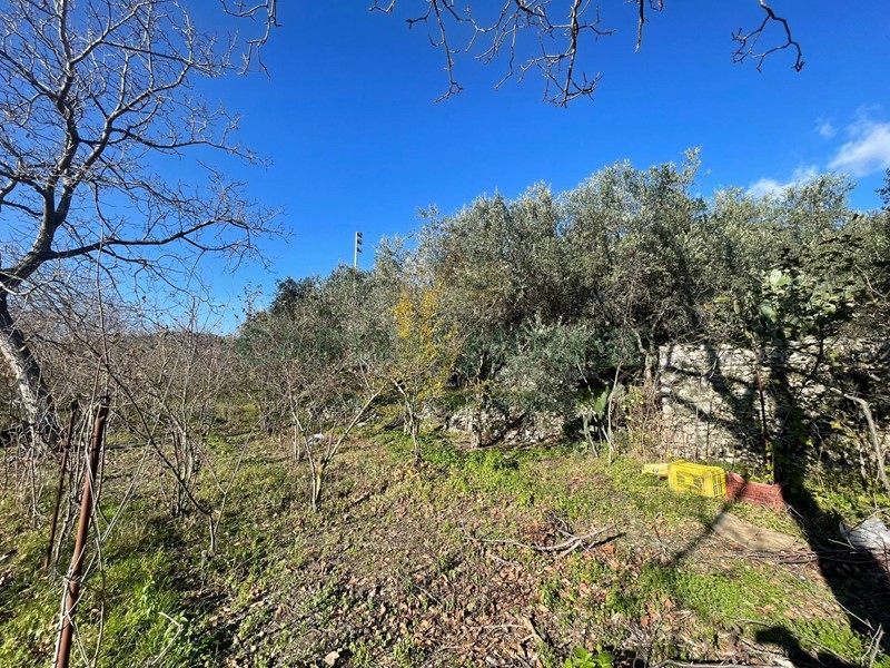 Terreno agricolo in Vendita a Avella, 80'000&euro;, 1601 m²