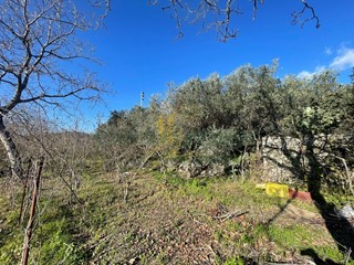 Terreno agricolo in Vendita a Avella, 80'000&euro;, 1601 m²