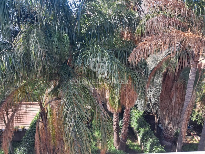 Villetta a schiera in Vendita a Acireale, 390'000&euro;, 280 m²