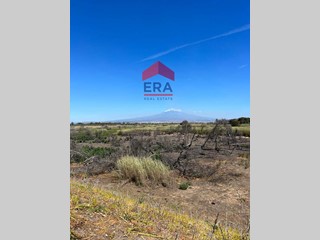 Villa in Vendita a Catania, 68'000&euro;, 130 m²