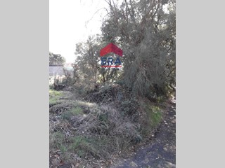 Terreno agricolo in Vendita a Nicolosi, 10'000&euro;, 1000 m²