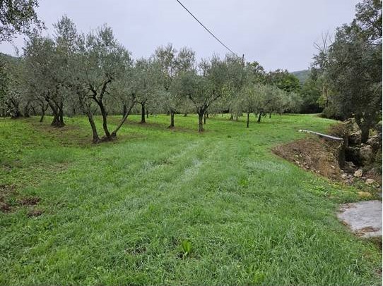 Terreno agricolo in Vendita a Calenzano, 290'000&euro;, 60000 m²