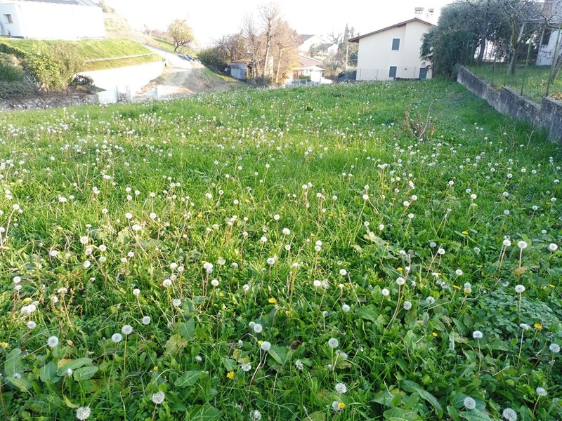 Terreno edificabile in Vendita a Pianezze, 83'000&euro;, 1450 m²