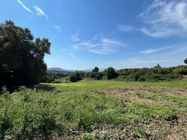 Terreno edificabile in Vendita a Guidonia Montecelio, zona Guidonia, 165'000&euro;, 70000 m²