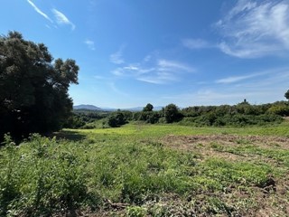 Terreno edificabile in Vendita a Guidonia Montecelio, zona Guidonia, 165'000&euro;, 70000 m²