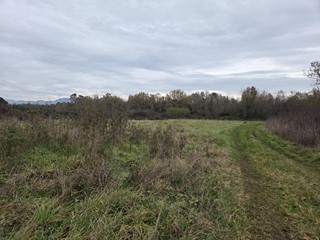 Terreno agricolo in Vendita a Castelfranco di Sotto, zona Orentano, 20'000&euro;, 5000 m²