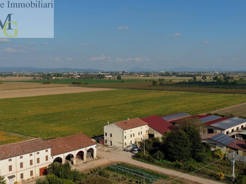 Terreno agricolo in Vendita a Albaredo d'Adige, 141000 m²