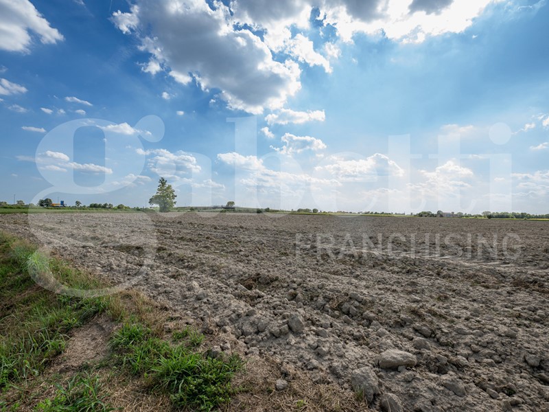 Terreno agricolo in Vendita a Este, 402'000&euro;, 73080 m²
