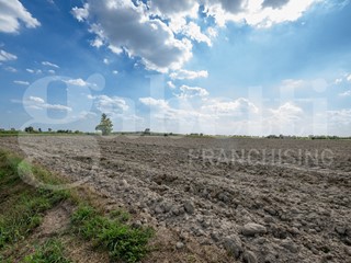Terreno agricolo in Vendita a Este, 402'000&euro;, 73080 m²