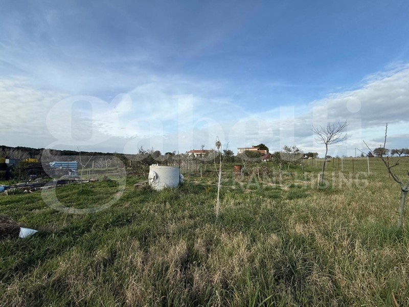 Terreno agricolo in Vendita a Nettuno, 35'000&euro;, 3290 m²
