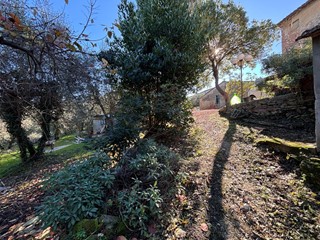 Casa Semi Indipendente in Vendita a Terricciola, zona Chientina, 219'000&euro;, 340 m², con Box