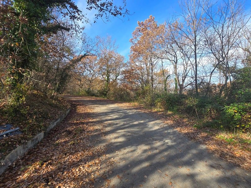 Terreno agricolo in Vendita a Castelvetere sul Calore, 19'000&euro;, 16000 m²