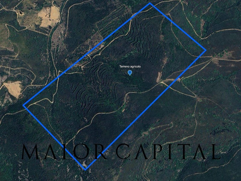 Terreno agricolo in Vendita a San Teodoro, 570'000&euro;, 540000 m²