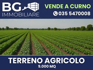 Terreno agricolo in Vendita a Curno, 170'000&euro;, 9000 m²