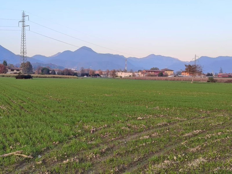 Terreno agricolo in Affitto a Barzana, 160&euro;, 1200 m²