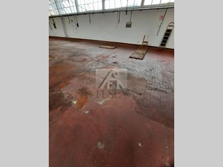 Capannone in Affitto a Lucca, zona Sant'Alessio, 4'900&euro;, 800 m²