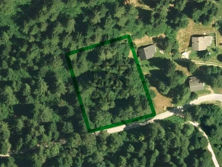Terreno edificabile in Vendita a Pieve Tesino, 130'000&euro;, 2220 m²