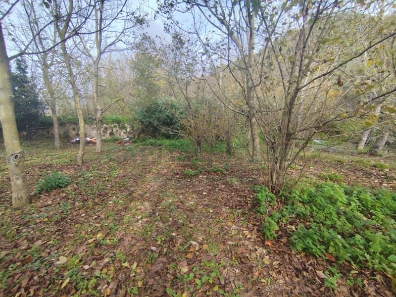 Terreno agricolo in Vendita a Mercato San Severino, 19'000&euro;, 950 m²