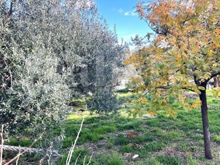 Terreno edificabile in Vendita a Pozzilli, 60'000&euro;, 871 m²