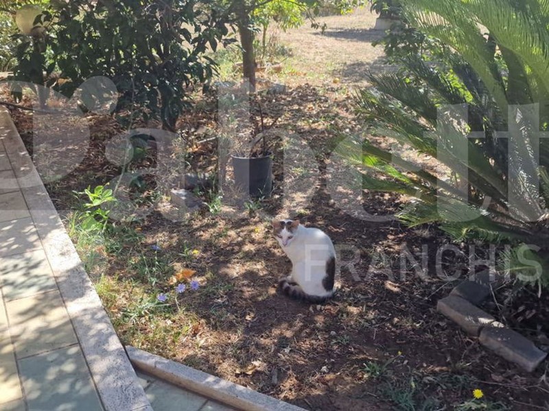 Villa in Vendita a Nettuno, 350'000&euro;, 336 m², con Box