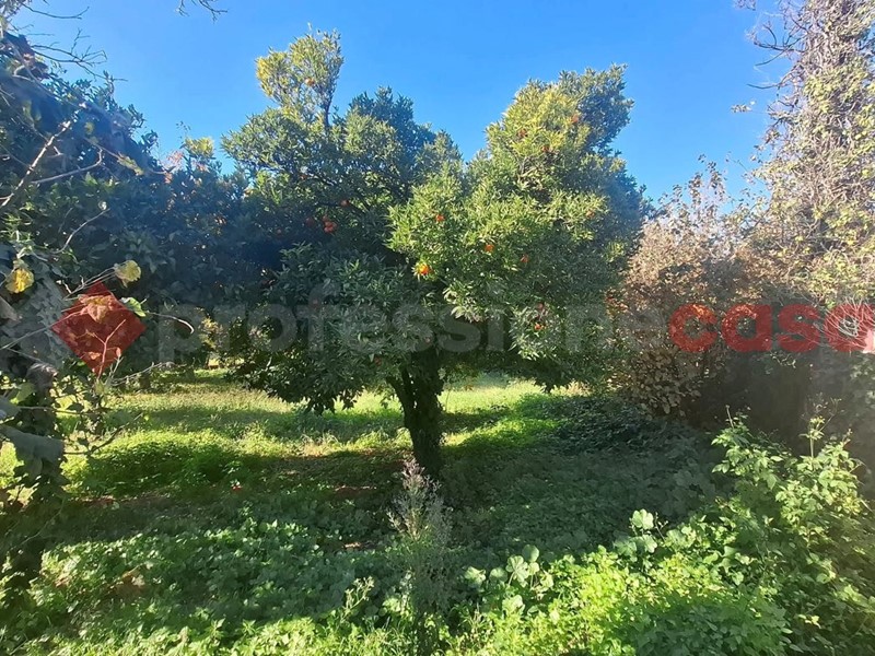 Terreno agricolo in Vendita a Castel San Giorgio, 189'000&euro;, 7000 m²